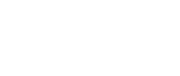 Speech Without Limits Logo